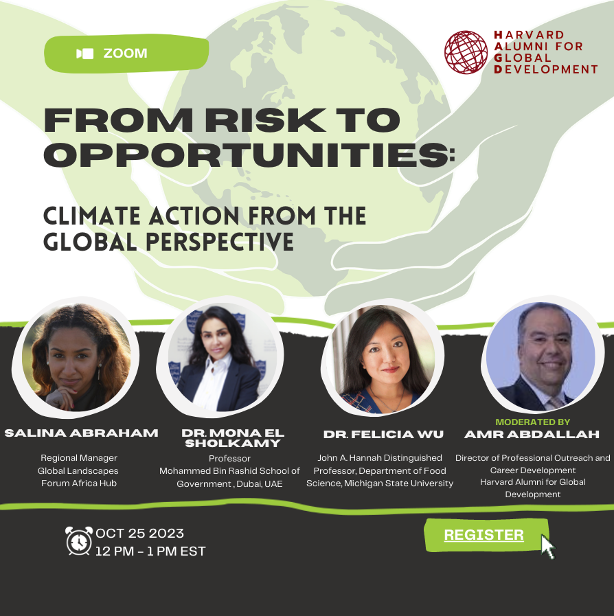 Climate Action from the Global Perspective